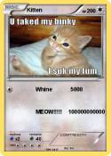 Kitten