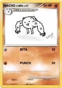 MACHO cats