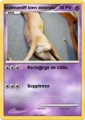 bullmastiff