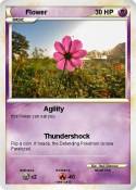 Flower