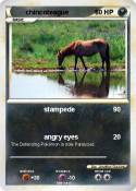 chincoteague
