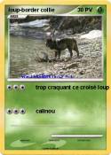 loup-border col
