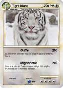 Tigre blanc
