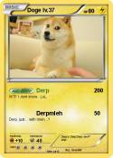 Doge lv.37