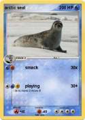 arctic seal