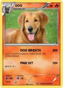 DOG