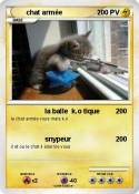 chat armée