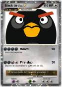 Black bird