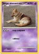 berger allemand