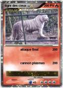 tigre des cieux