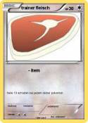trainer fleisch