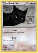 Black Cat