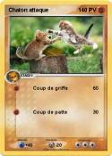 Chaton attaque