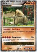 lionerre