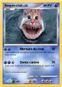 Requin-chat