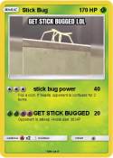 Stick Bug