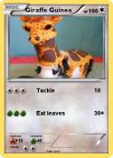Giraffe Guinea