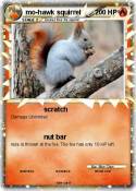mo-hawk squirre