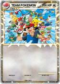 TEAM POKEMON