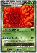 Flower EX