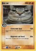 Box cat