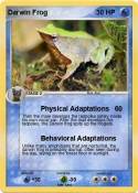 Darwin Frog