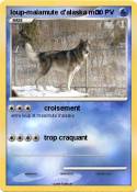 loup-malamute