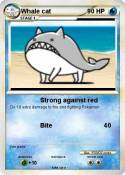 Whale cat