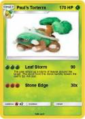 Paul's Torterra
