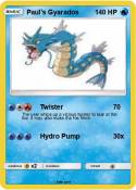 Paul's Gyarados