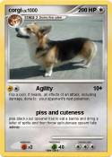 corgi