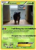Cocanut