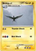 Birding