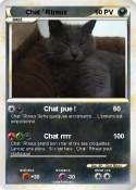 Chat ' Rtreux