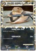 CRAZED ANIMAL!!
