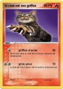 le chat est