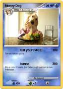 Money Dog