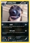 smiling GSD