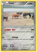 Cows