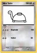 Mine Turtle