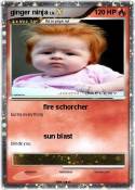 ginger ninja