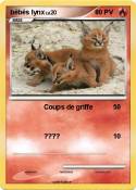 bébés lynx