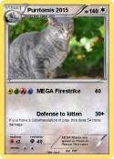 Purrtomis 2015