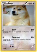 Doge
