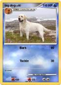 big dog