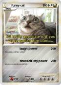 funny cat