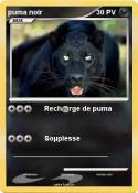 puma noir