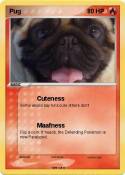 Pug