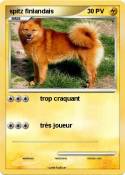 spitz