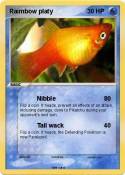Raimbow platy